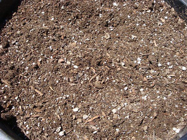 Cascade Rock Inc Soil Photo Gallery | Sacramento, CA