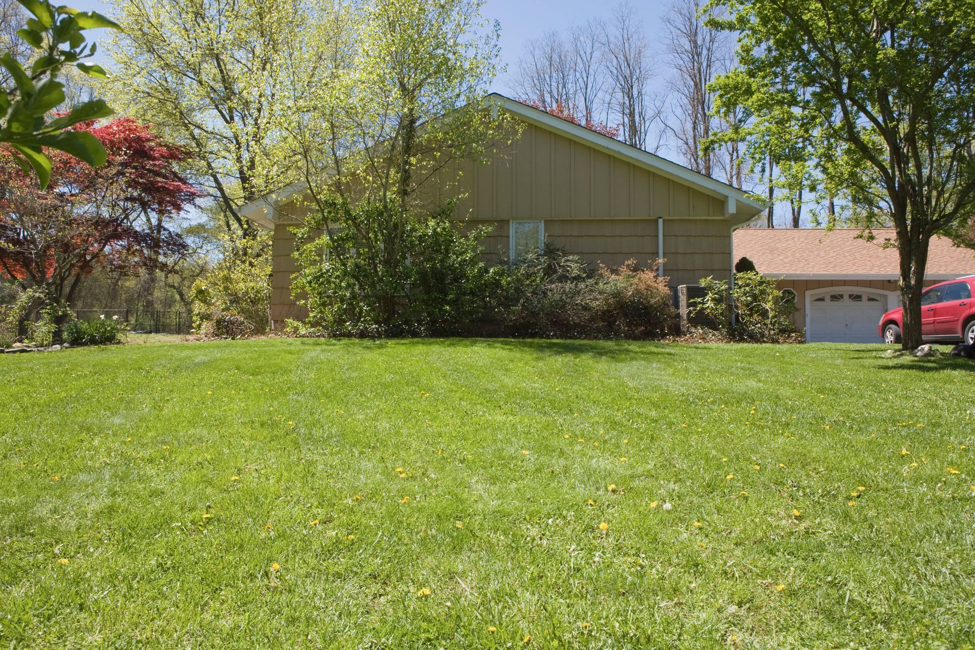 landscaping services