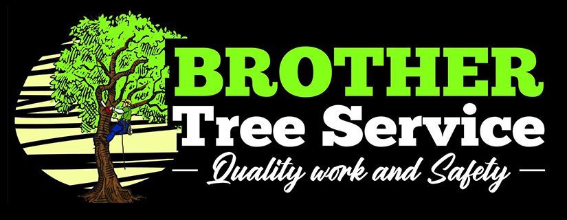 Brother Tree Service logo