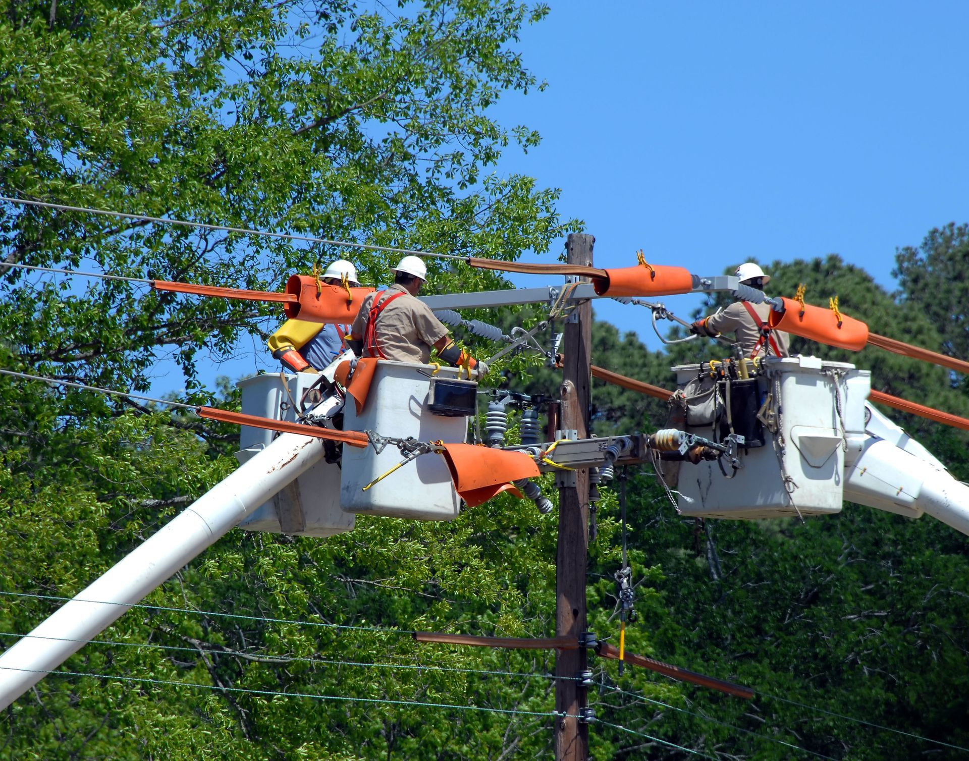 Brother Tree Service