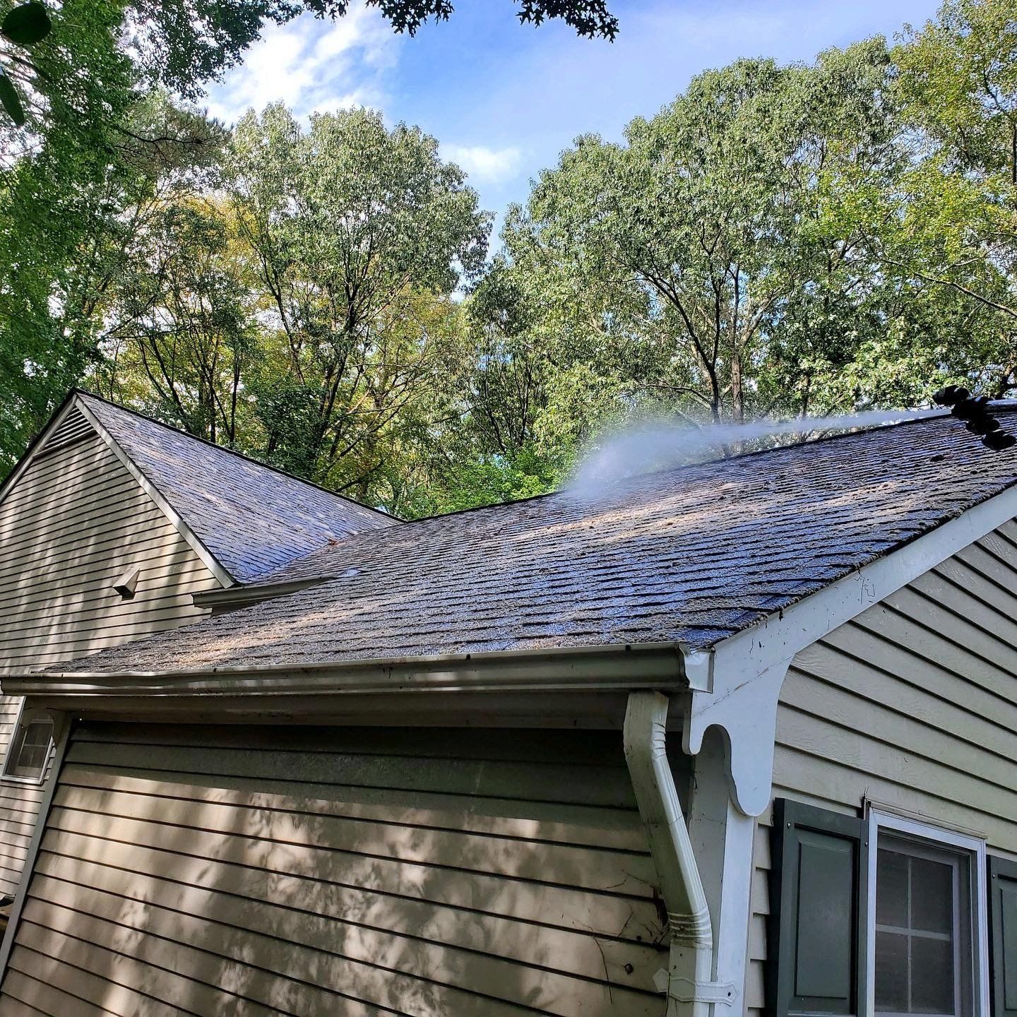 Roofing cleaning