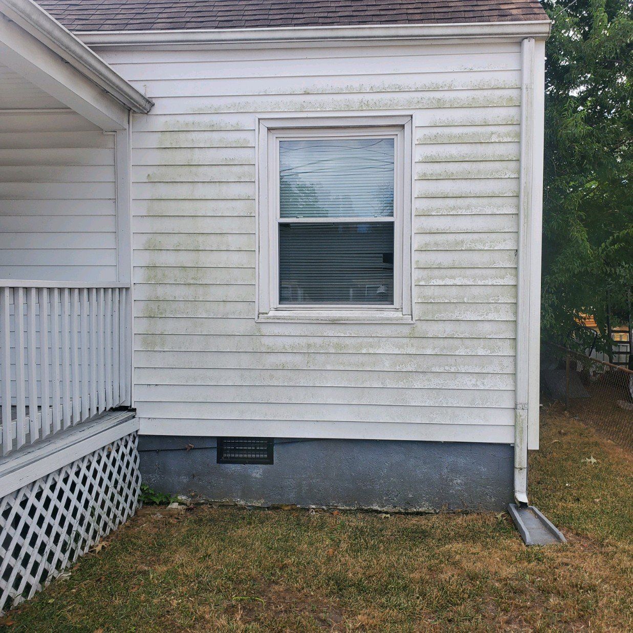 siding cleaning