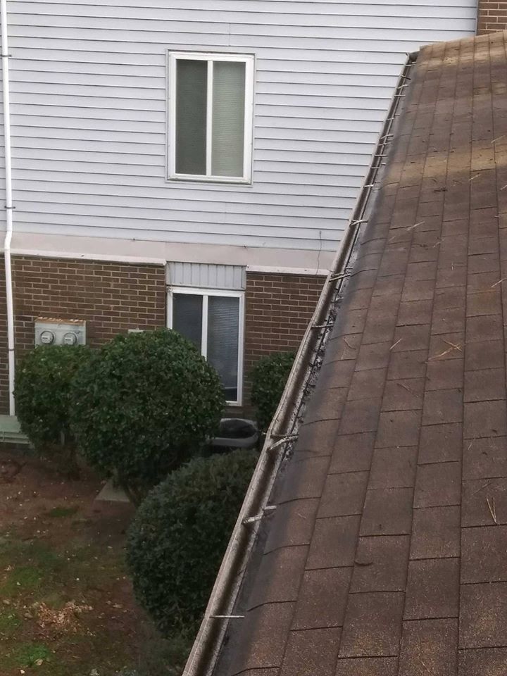 Gutter cleaning