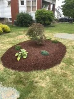 Quality Landscaping Service