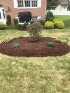 Quality Landscaping Service