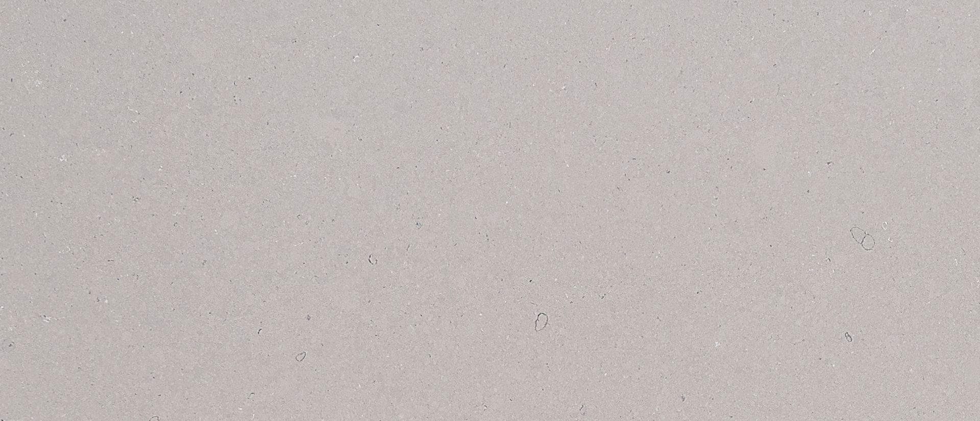 Fossil Gray - Matte Finish