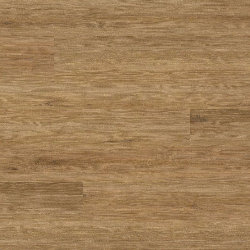 Amber Forrester Cyrus LVP