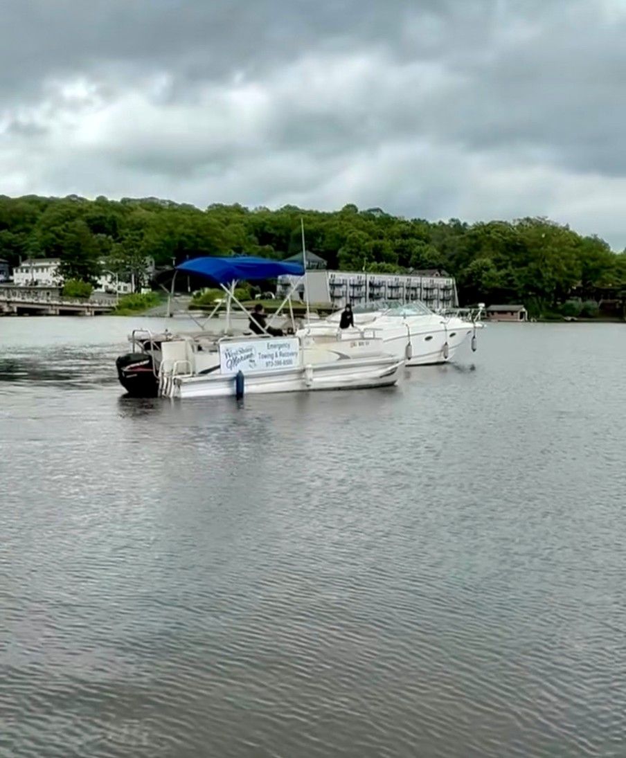 White pontoon boat with blue canopy on calm water under cloudy sky, near a tree-lined shore
