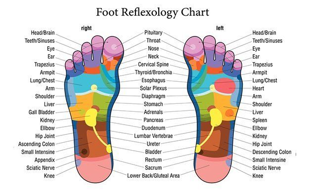 Reflexology chart