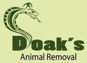 Doak's Animal Removal Service-Logo