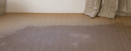 Water-damaged carpet