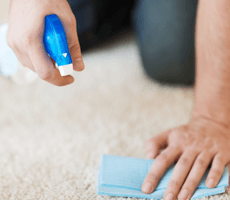 cleaning carpet