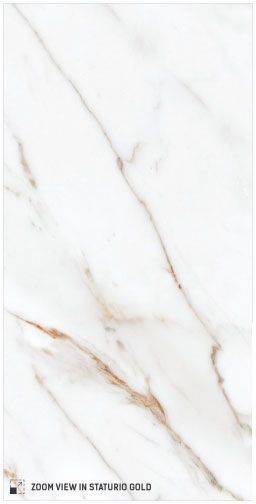Staturio Gold Polished
12x24 Porcelain Tile