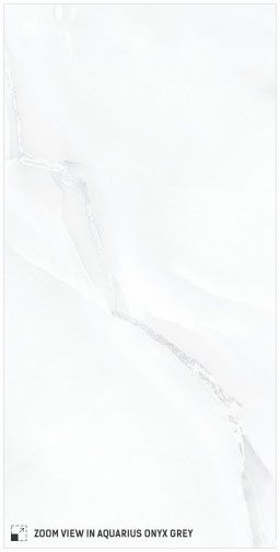 Aquarius Onyx Grey Polished
12x24 Porcelain Tile