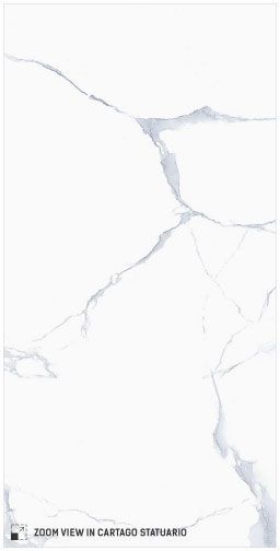 Cartago Statuario Polished
12x24 Porcelain Tile