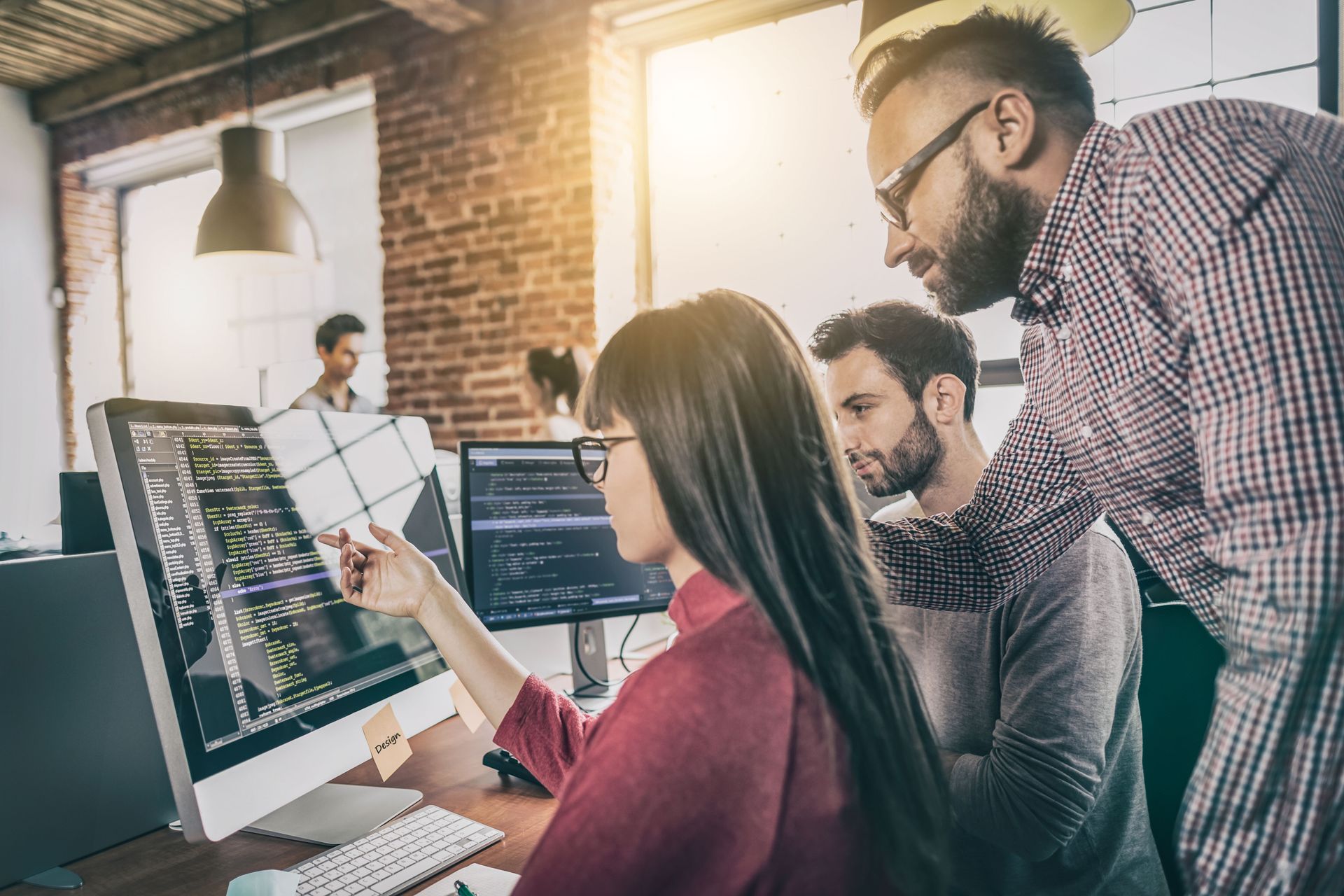 software developers