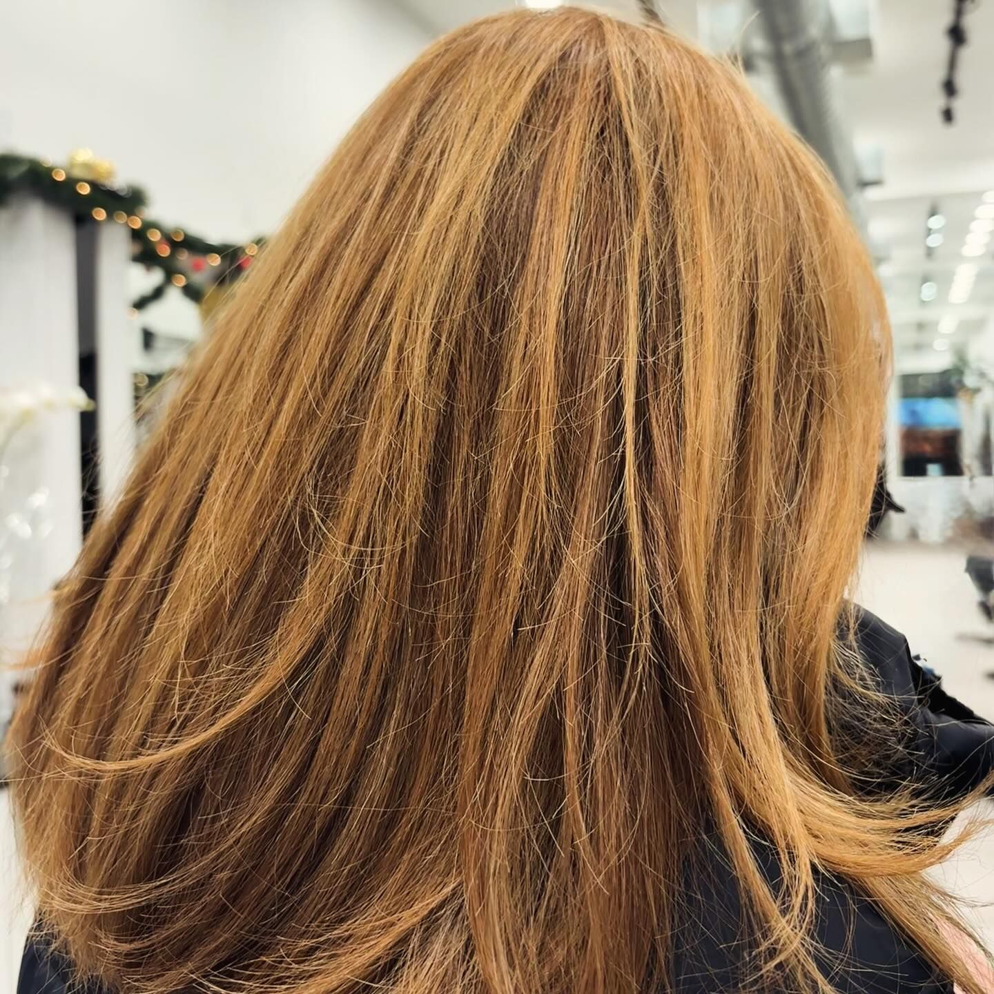 Back view of long, layered light brown hair in a salon setting