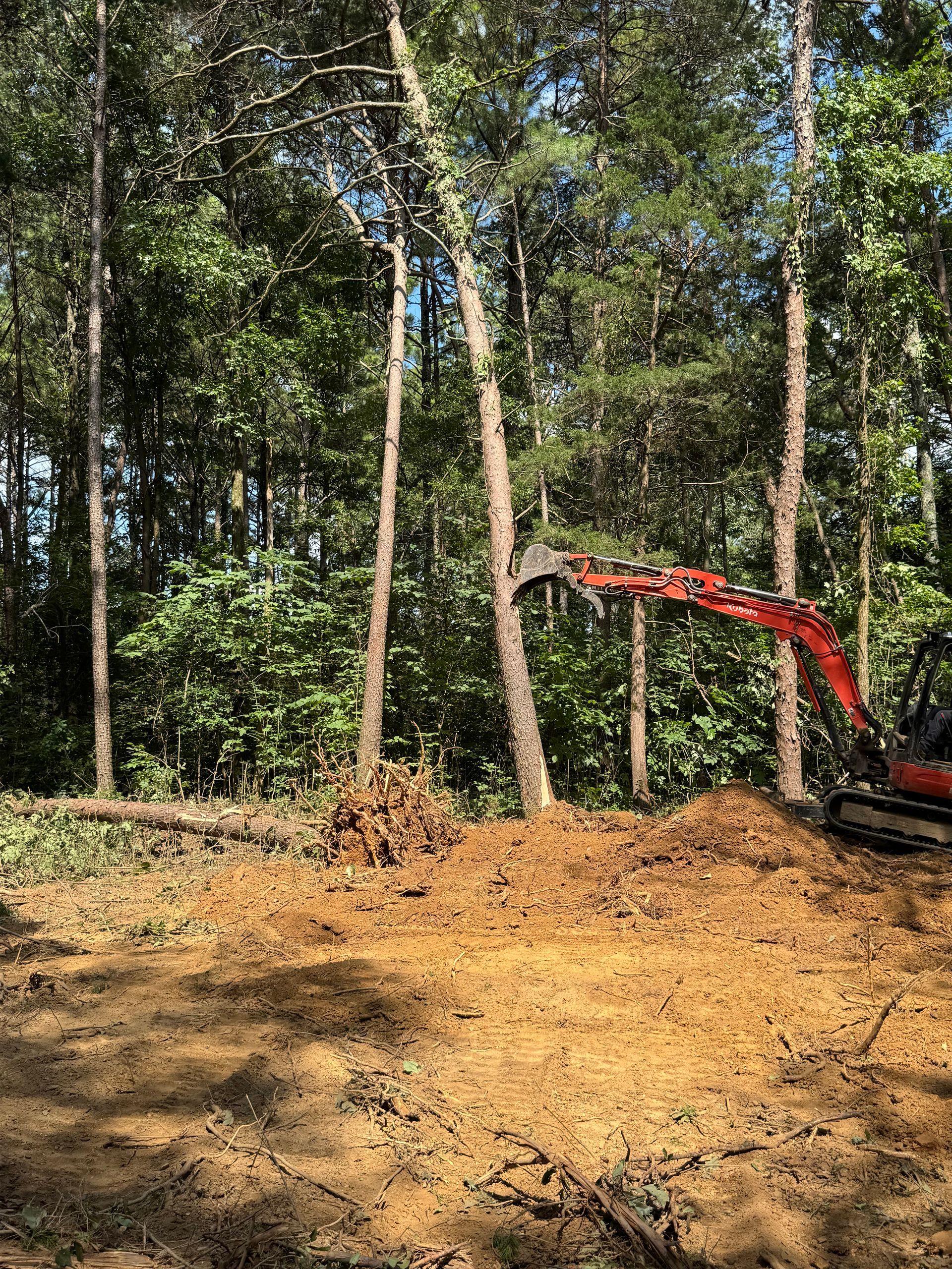 An orange excavator works in a wooded area with cleared dirt ground and tall trees in the background.
