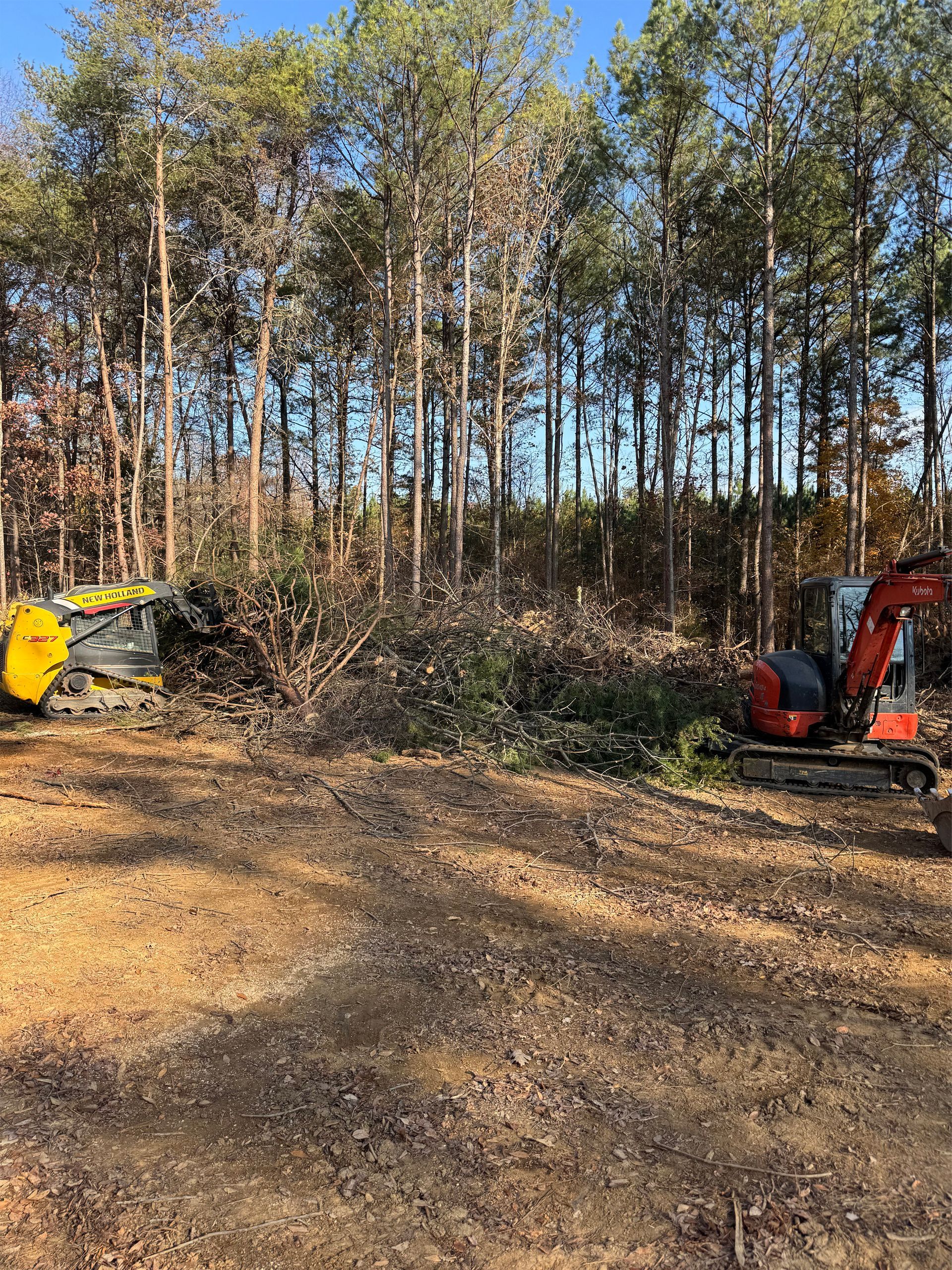 Two pieces of heavy machinery work to clear brush and trees in a sunny forest clearing.