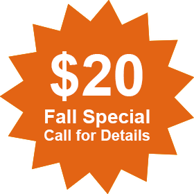 $20 Fall Special – Call for Details