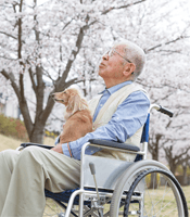 Elderly man on a wheelchair