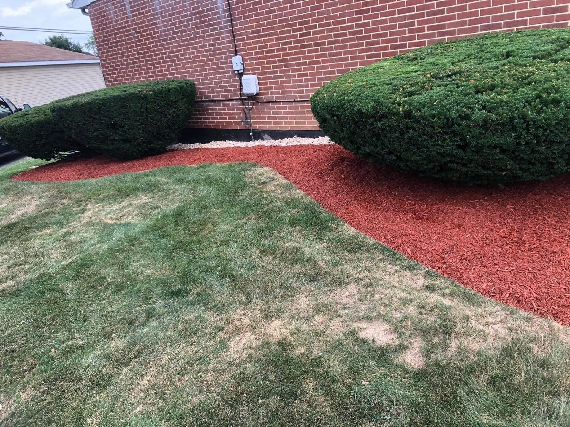 Perfectly laid red mulch under the shrubs