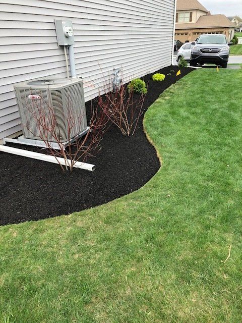 Black mulch on the side of a house