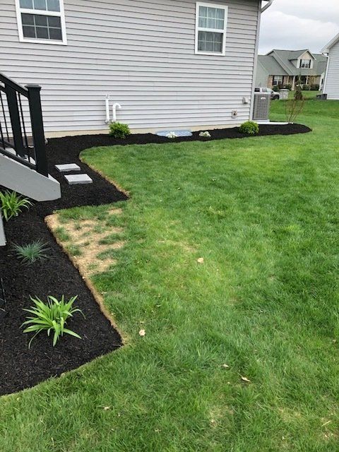 A perfectly trimmed grass beside evenly laid black mulch