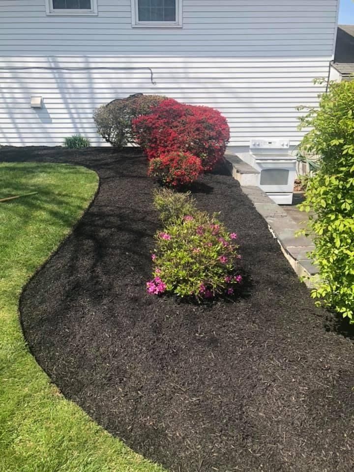 Black mulch separating the lawn and the walkway