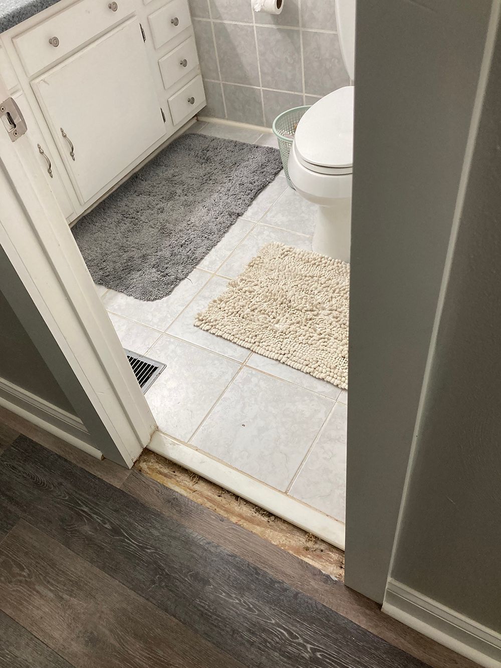 A bathroom with a toilet and a rug on the floor.