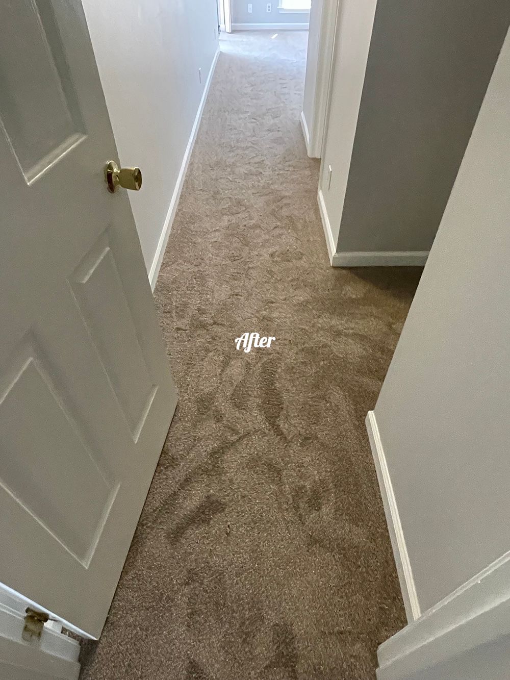 A hallway with a carpeted floor and a door between two rooms.