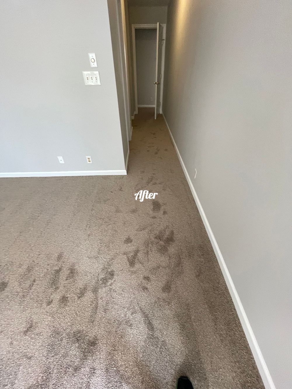 A person is standing in a hallway with a carpeted floor.