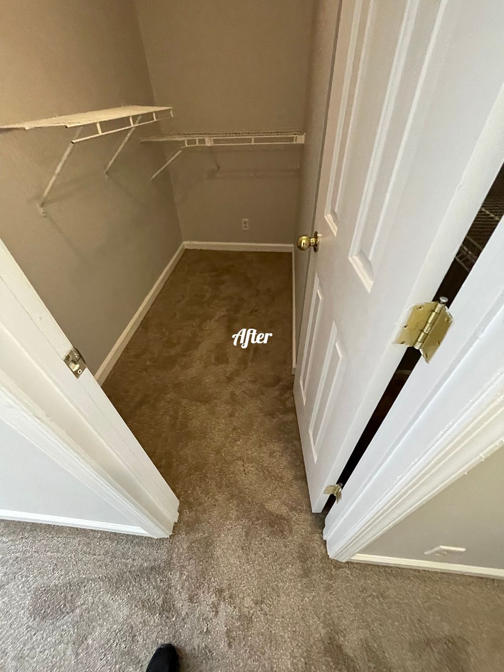 A walk in closet with a carpeted floor and a white door.