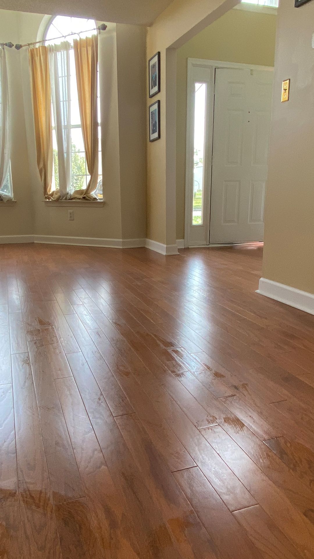 A living room with hardwood floors and two windows.