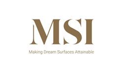 MSI