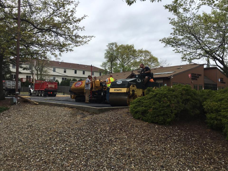 A group of construction workers are working on a road