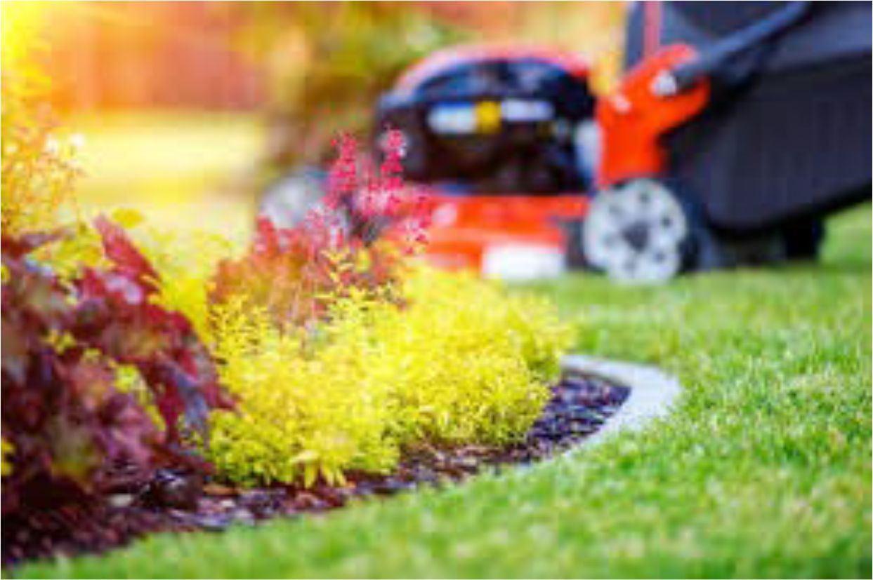 Lawn mower near vibrant garden border with red and yellow plants.