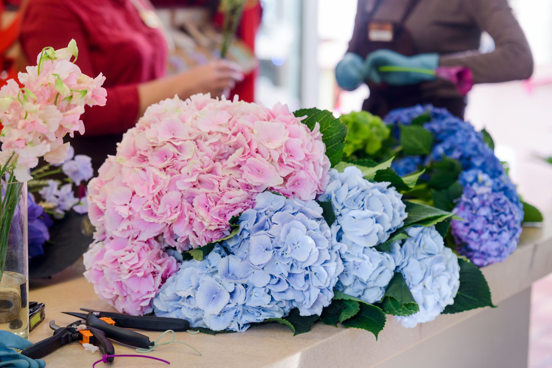 Pink, light blue, and blue hydrangeas on a table with people arranging flowers in background.