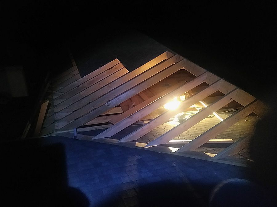 A person is standing in a dark room with a light shining through the bars.