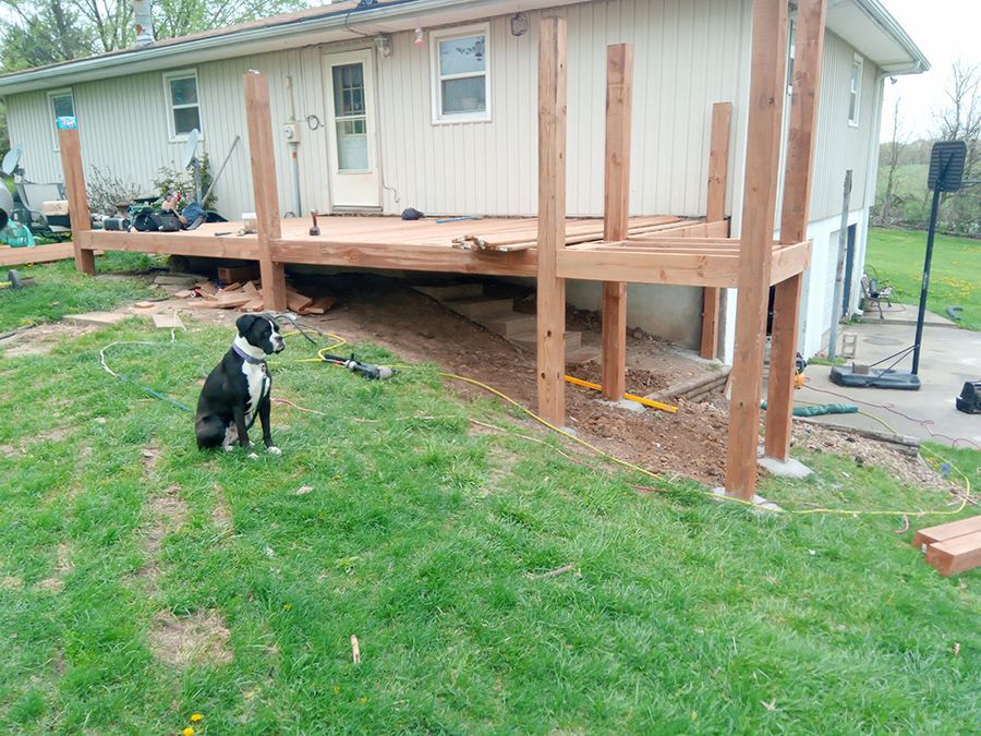 A black and white dog is sitting in front of a house under construction.