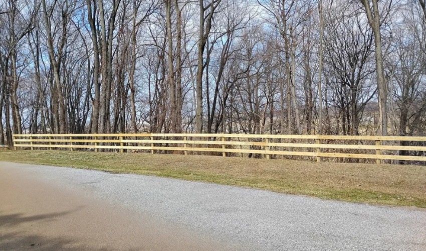 A light-colored wooden fence borders a gravel road and a grassy area with bare trees in the background.