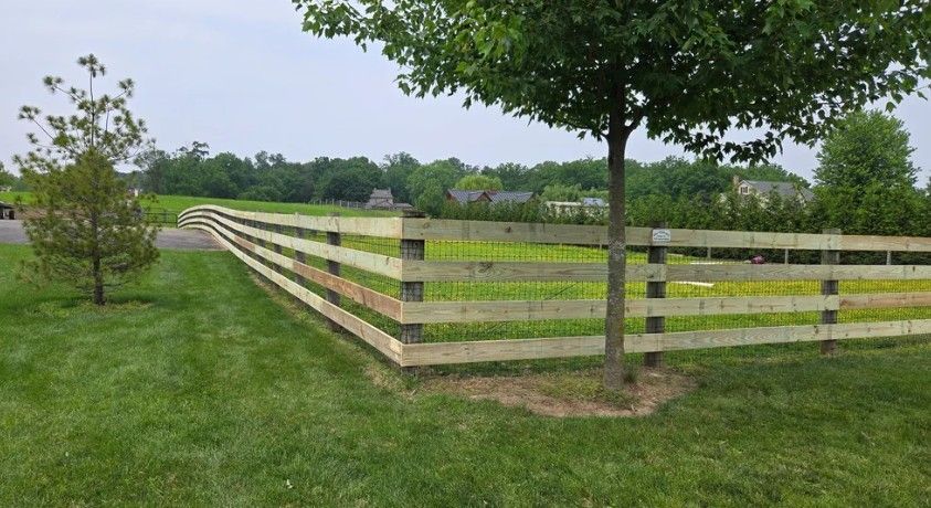 A wooden fence runs along green grass, with a tree on the right. In the background, a small tree and distant treeline are visible.
