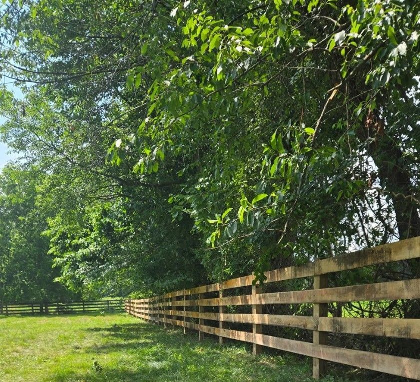 Wooden fence borders a grassy field under a canopy of green trees.