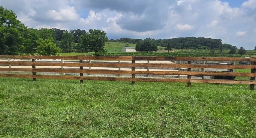 A wooden fence borders a grassy field, with a treeline and cloudy sky in the background.