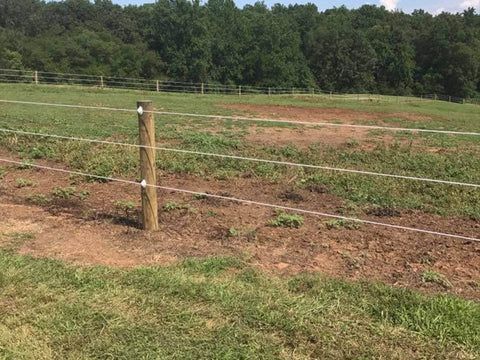 Wooden post with white electric fence lines in a grassy field, trees in the background.