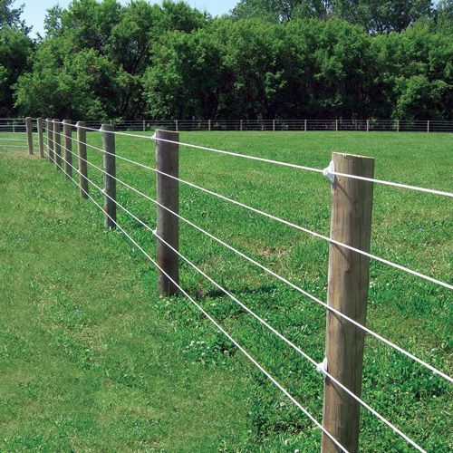 Wooden post and wire fence in a grassy field, trees in the background. The fence separates the viewer from the field.