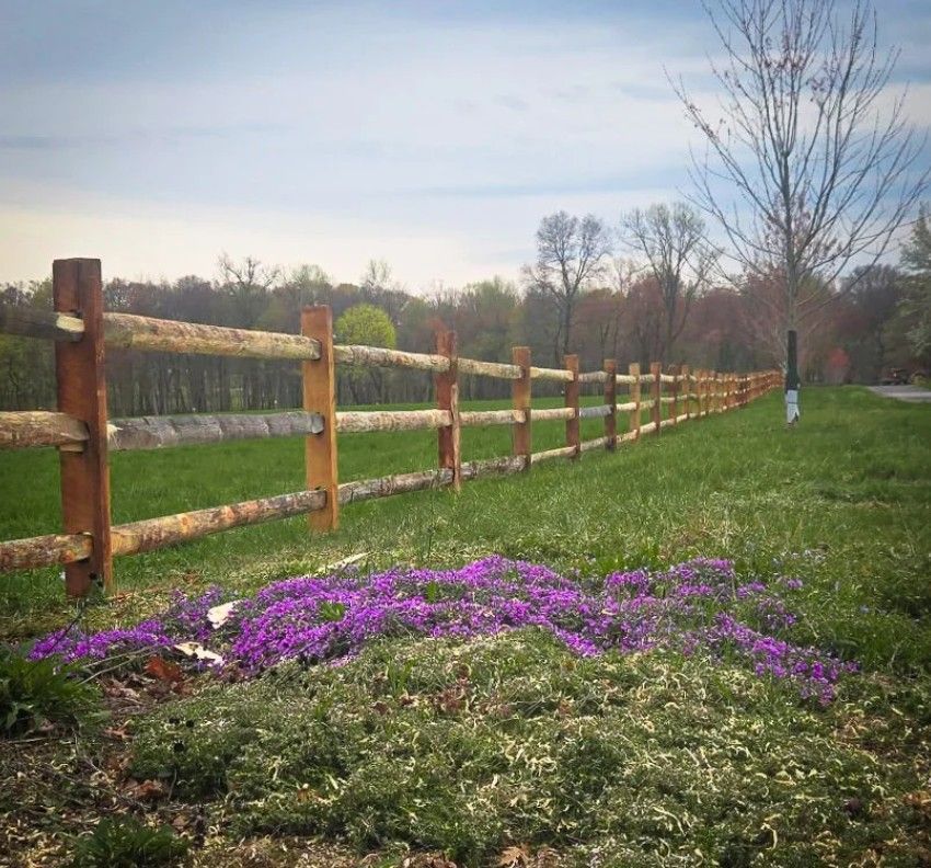 A rustic split-rail fence borders a grassy field dotted with purple flowers; trees and a pale sky are in the background.