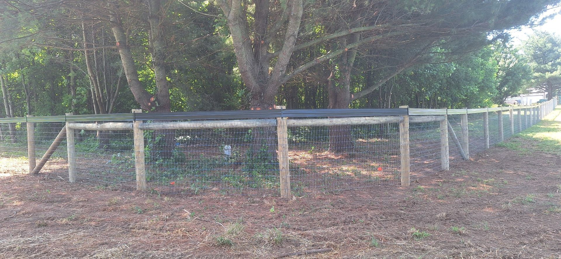 Chain-link fenced enclosure around a wooded area, with trees and leaf-covered ground.