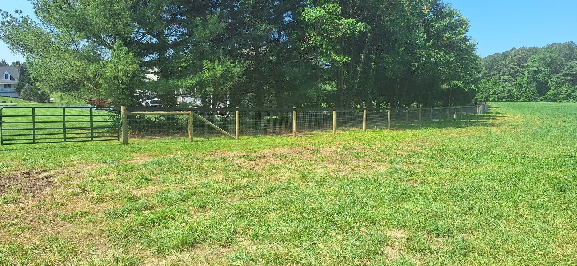 Green pasture with a wooden fence and large trees under a sunny sky
