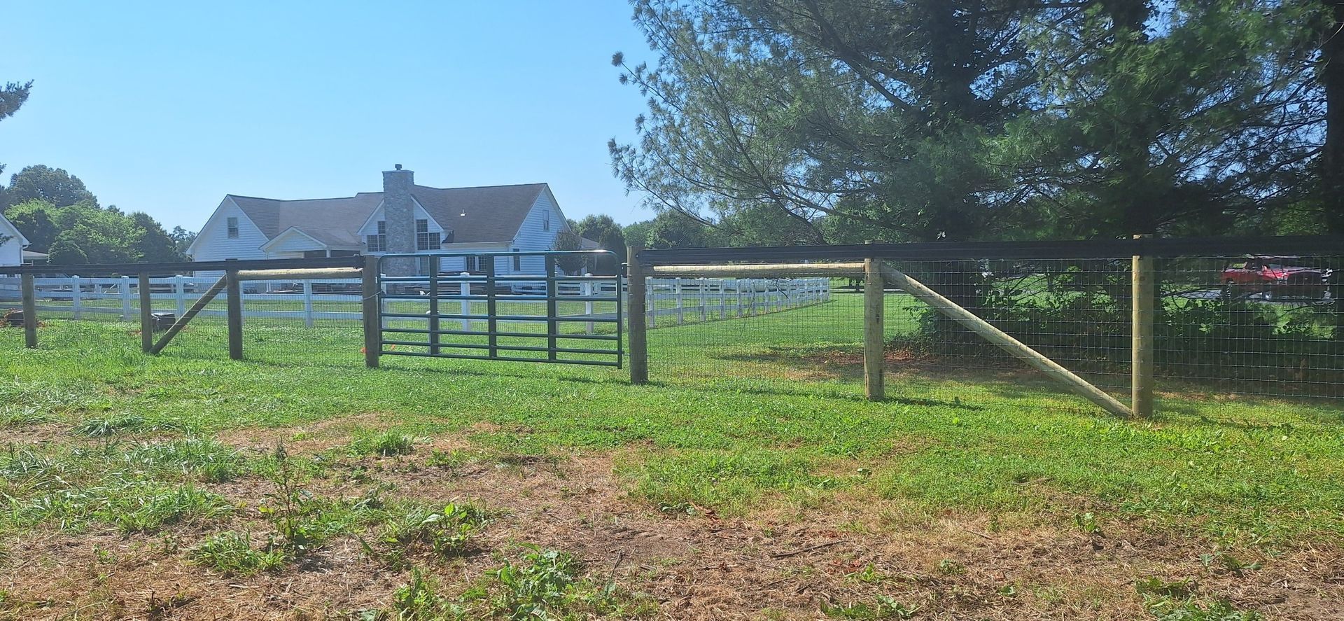 Rural fenced pasture with green grass and a farmhouse in the background under a sunny sky